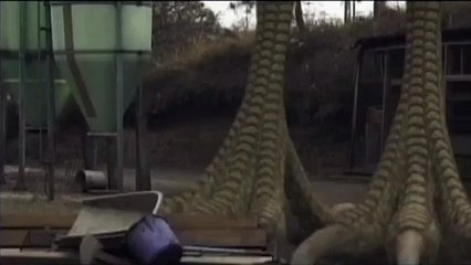 Dark Soldier D_Giant Rooster eats care-taker