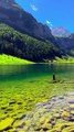 Therapy of magical Switzerland🇨🇭🌿🏔️__Don_t forget to follow for the next Swiss content 💚_Videographer by _is.switzerland 📸___switzerland _travel _nature _swiss _mountains _schw(