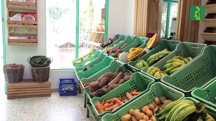 Mercado Orgánico, el negocio que fomenta el consumo de alimentos naturales y sanos