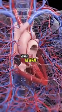 Dr Zakir Naik Ka beyan