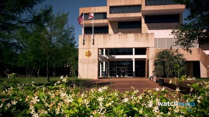 10 Real-Life Black Widows