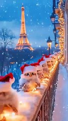 Christmas animals #animal #funny #kids #comedy