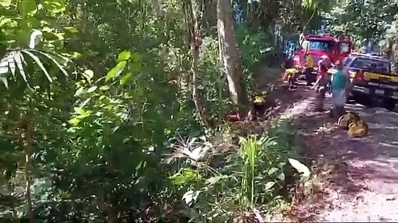 tn7-Hombre muere tras caer con todo y carro a precipicio en Golfito-171224