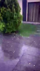 Tormenta de granizo en San Martín - 17-12-24