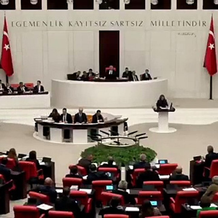 DEM'li vekil MHP'li isimden izin alıp TBMM kürsüsünden Kürtçe seslendi