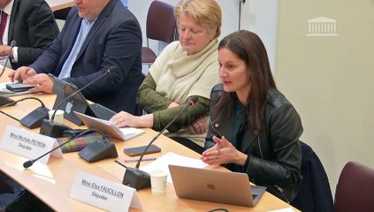 Manquements des politiques de protection de l’enfance : Table ronde sur les mineurs non accompagnés ; Auditions du laboratoire Printemps de l’Université Versailles St-Quentin-en-Yvelines - Mardi 17 décembre 2024