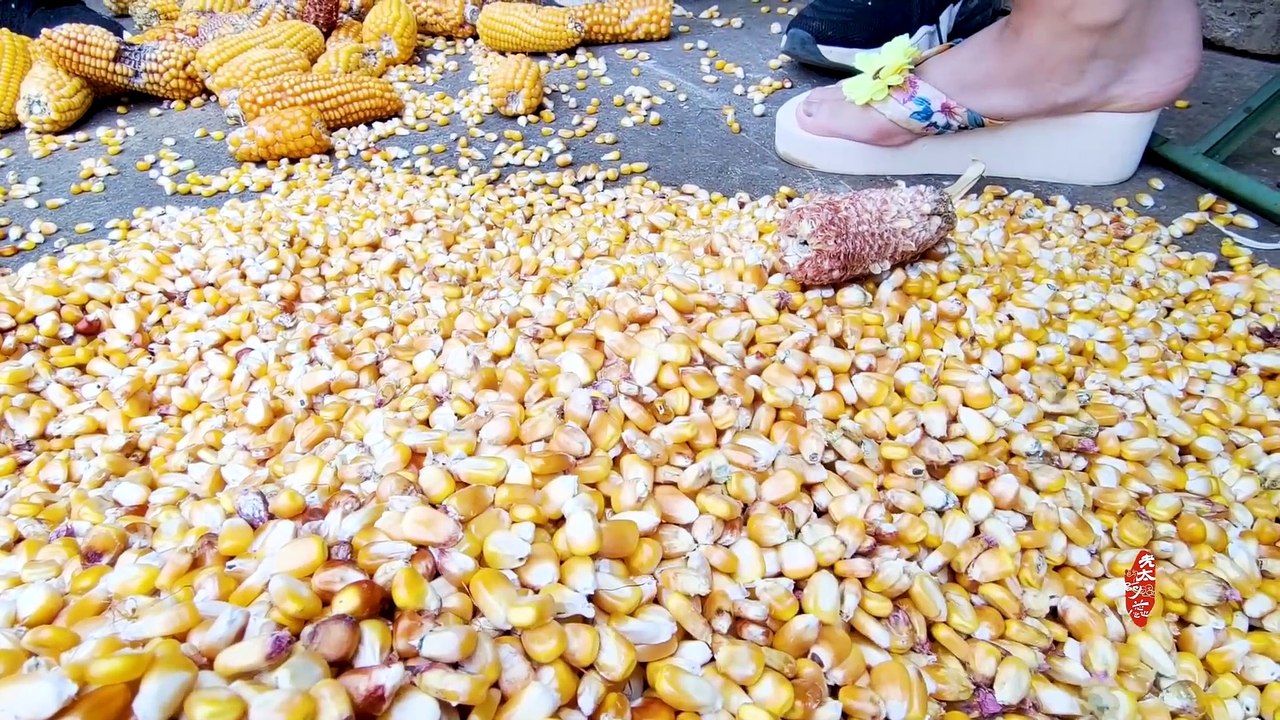 How to make popcorn (Look at ARUIs secret weapon) Muslim Chinese Food   halal food recipes爆米花