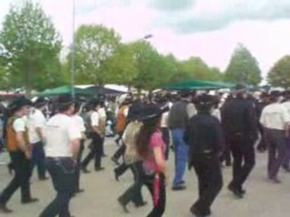 Festicozes grundy gallop