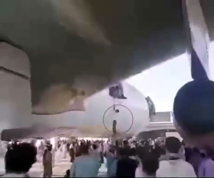First class ticket (video)