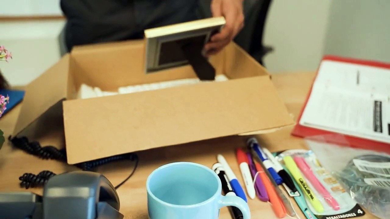 Avoid Moving Day Disasters: Top Tips from Harry The Mover for a Smooth Relocation