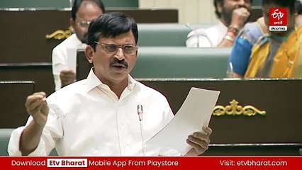 'ధరణి పోర్టల్​లో ఆస్తుల వివరాలు తెలుసుకునే పరిస్థితి లేదు - కానీ భూ భారతిలో వివరాలు అన్నీ ఉంచుతాం'