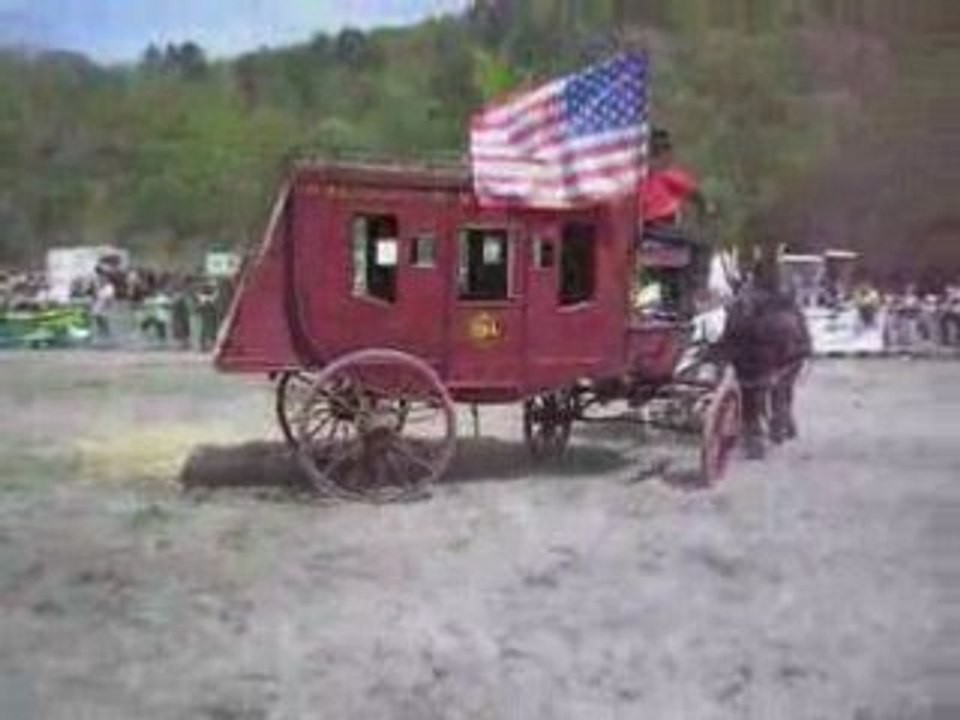 Attelage western de l'association gardoise d'attelage