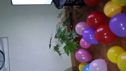 Reaccion familias chirinos y vasquez