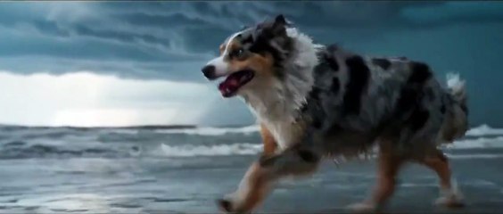 Google Veo 2: The AI Revolution That Changes Everything! #aivideo #googleveo2 #sora