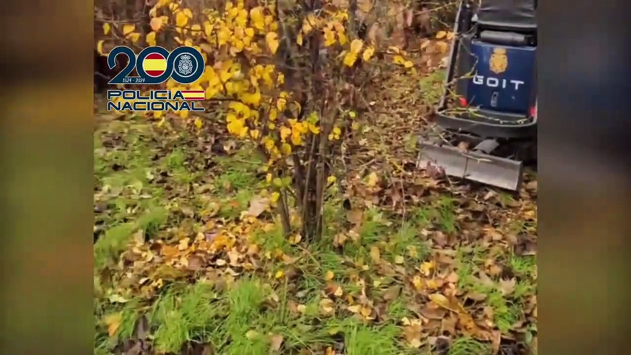 Asesinato
