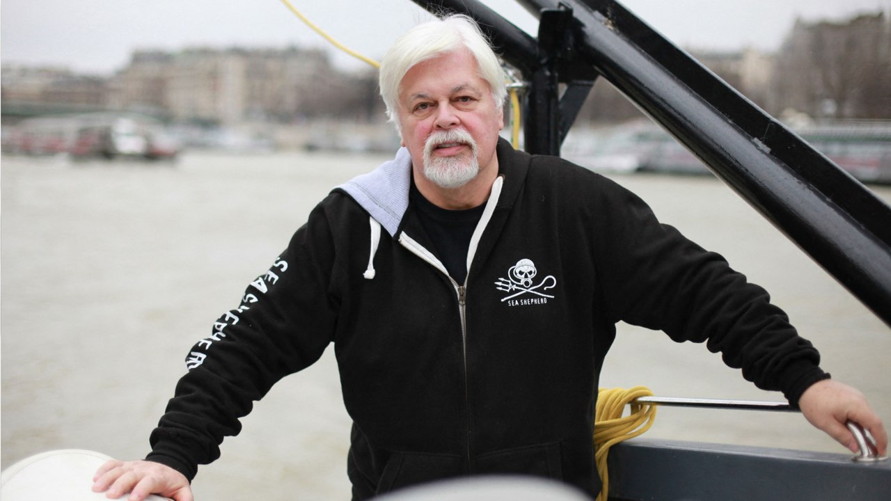 GALA VIDEO - "Passer Noël avec mes enfants" : Paul Watson ému après sa libération