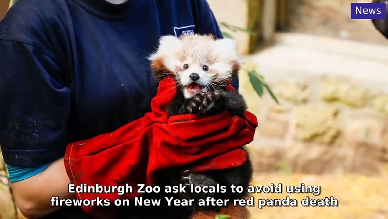 Edinburgh Evening News Morning Update 18 December, 2024