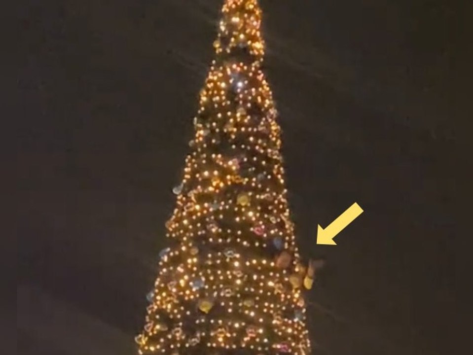 Großeinsatz! mann wird von weihnachtsbaum geholt
