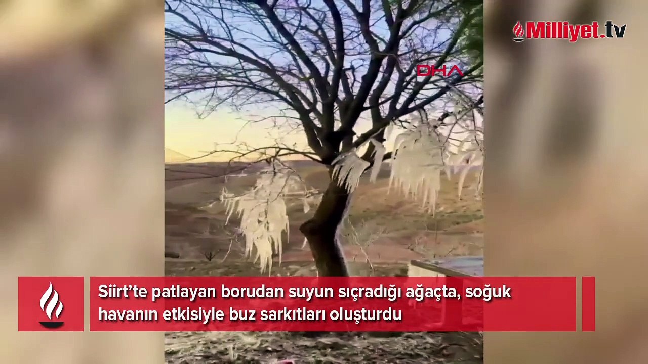 Su borusu patladı ağaçta buz sarkıtları oluştu