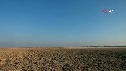 İngiliz Kraliyet Hava Kuvvetleri'nin savaş uçağı Ankara'ya indi