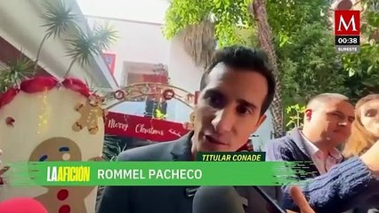 Conade sigue avanzando con la creación de la nueva Federación de Natación