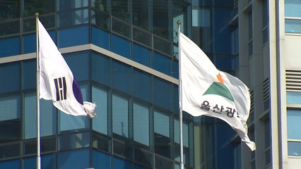 [울산] 조직·인력 효율화 평가 '우수 지자체' 선정 / YTN