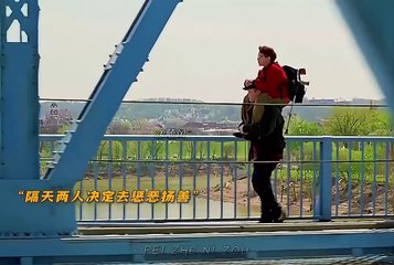 "You need brains, I need feet, knights need actions to prove their worth." Ful Movie