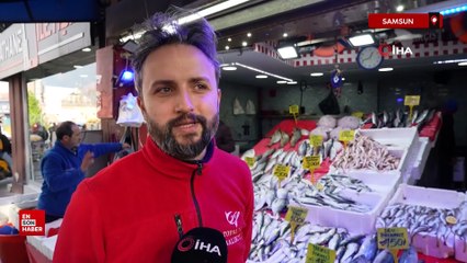 Samsun'da Karadeniz'in incisi hamsi, palamudun tacını geri aldı
