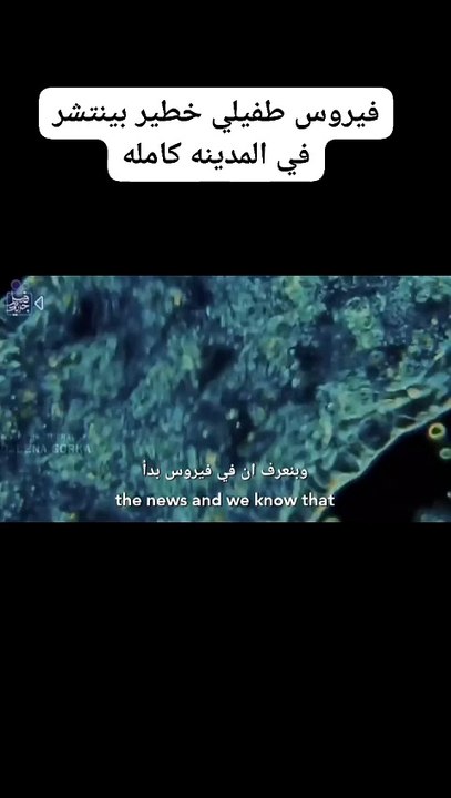The best movie