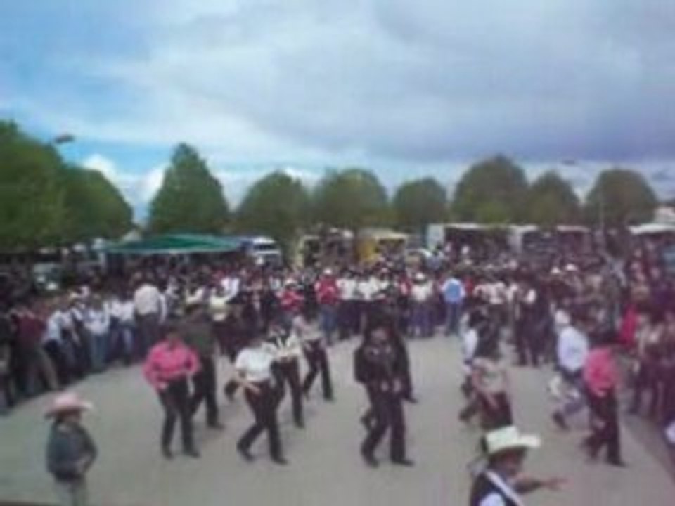 Festi cozes country seventeen shuffle