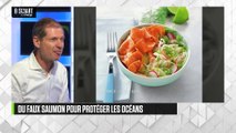 SMART IMPACT - Du saumon fabriqué à base d’algues marines et de plantes