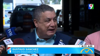 Diputados piden al senado respetar las ternas para la Cámara de Cuentas| El Despertador