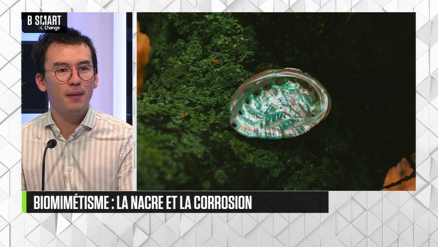 Biomimétisme : la nacre et la corrosion