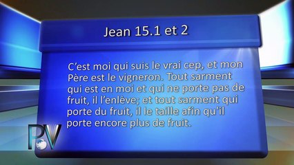 0387. Sans moi, vous ne pouvez rien faire. Que voulait dire Jésus?