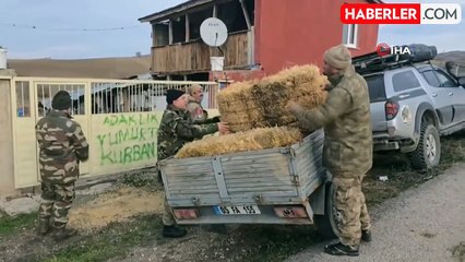 Yılkı Atlarına Kış Boyunca Destek: Akdağ'a Saman Taşıdılar