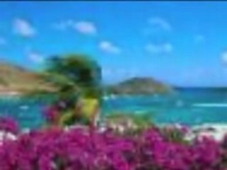 Where we belong nasheed by zain Bikha