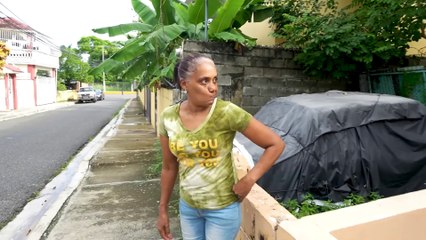 LLEGO LA NAVIDAD AL BARRIO y Las Vecinas comienzan a decorar