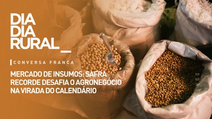 Mercado de insumos: safra recorde desafia o agronegócio na virada do calendário