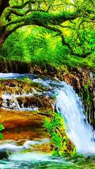 Bohat piyari video hi #naturalbeauty#beaty#natural