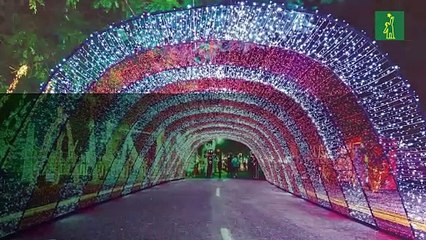 Los privilegios de los legisladores dominicanos