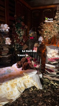 Noël enchanteur au château de Vaux-le-Vicomte ✨ Vivez la magie des fêtes dans un cadre exceptionnel où chaque recoin du château raconte une histoire. Contes de Noël, goûter gourmand, marshmallows grillés, patinoire en plein air, et un somptueux spectacle