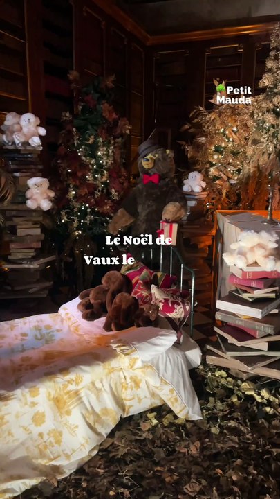 Noël enchanteur au château de Vaux-le-Vicomte ✨  Vivez la magie des fêtes dans un cadre exceptionnel où chaque recoin du château raconte une histoire. Contes de Noël, goûter gourmand, marshmallows grillés, patinoire en plein air, et un somptueux spectacle