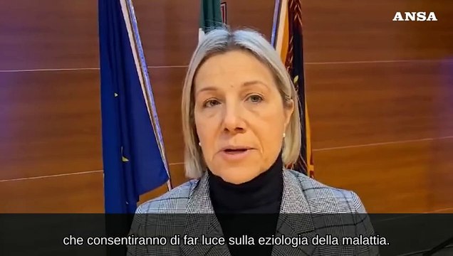 Ciriani: In Veneto si indaga su caso sospetto malattia del Congo