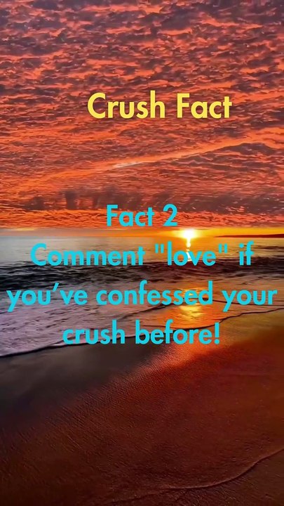 crush fact4