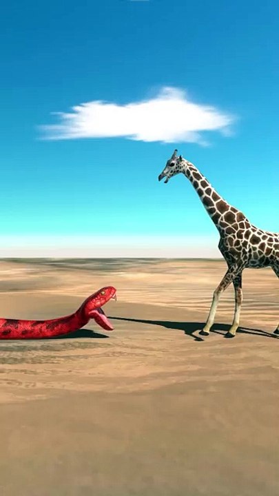Titanoboa vs Giraffe 3D Animation animal fighting Gameplay FUN GAMES TV