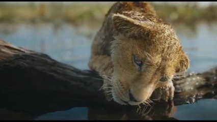 Nei cinema il film Disney di Natale "Mufasa: Il Re Leone"