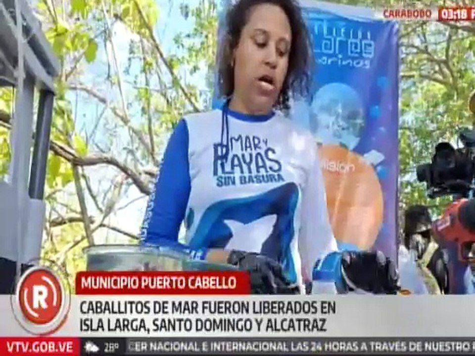 Carabobo | Minec libera caballitos de mar para preservación del ecosistema venezolano