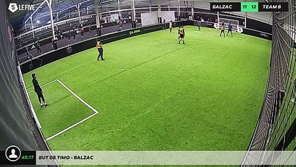 But de Timo - Balzac