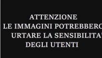 Genova, operaio del porto morto schiacciato tra due ralle - Il video dell'impatto