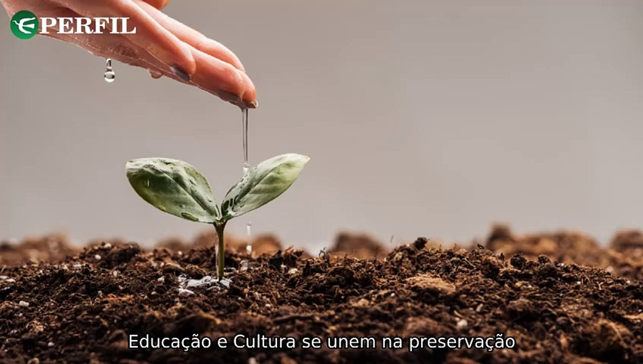 "Novas gerações, amores e benefícios: a esperança para o futuro dos idosos no Brasil"
